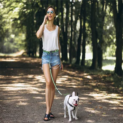 IntiMeg Laisse de dressage pour chien