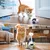 Jouets intelligents pour chats, voiture de sport électrique pour chats