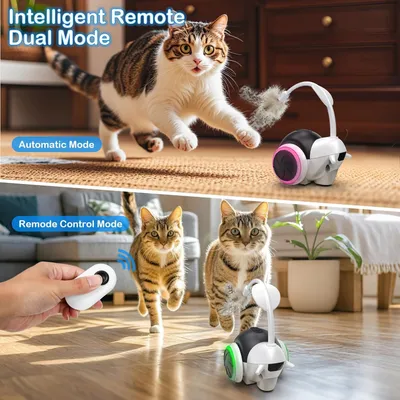Jouets intelligents pour chats, voiture de sport électrique pour chats