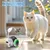Jouets intelligents pour chats, voiture de sport électrique pour chats