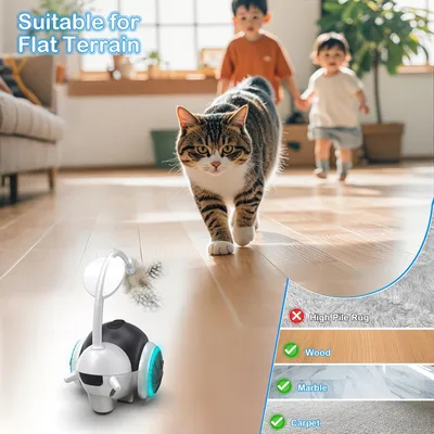 Jouets intelligents pour chats, voiture de sport électrique pour chats