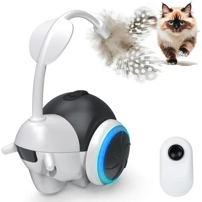 Jouets intelligents pour chats, voiture de sport électrique pour chats