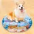 IntiMeg Matelas d'eau pour chat IntiMeg Matelas d'eau pour chat