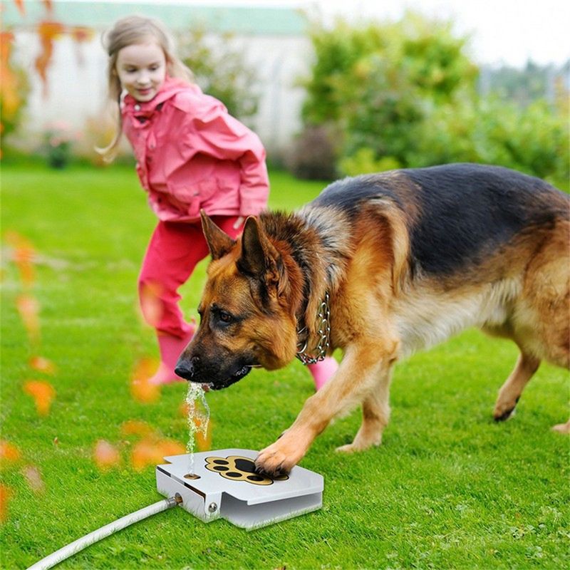 IntiMeg Jouets interactifs