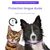 IntiMeg Collier de phéromones pour chats et chiens