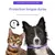 IntiMeg Colliers apaisants pour chats et chiens