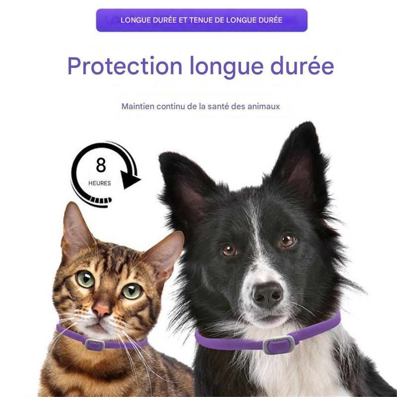 IntiMeg Collier de phéromones pour chats et chiens