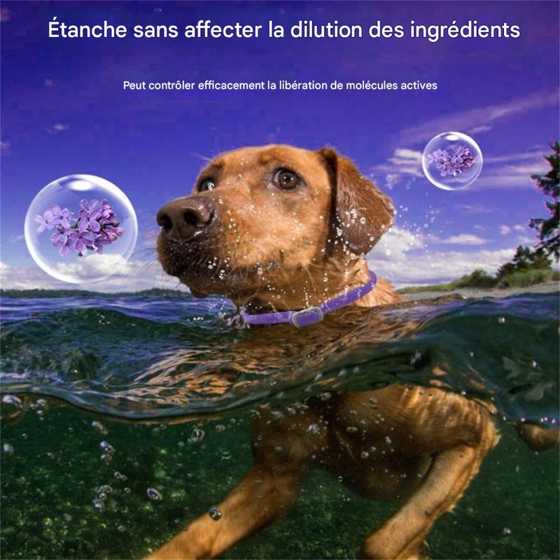 IntiMeg Collier de phéromones pour chats et chiens