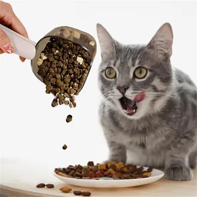 IntiMeg 250 ml Cuillère de nourriture pour chats et chiens