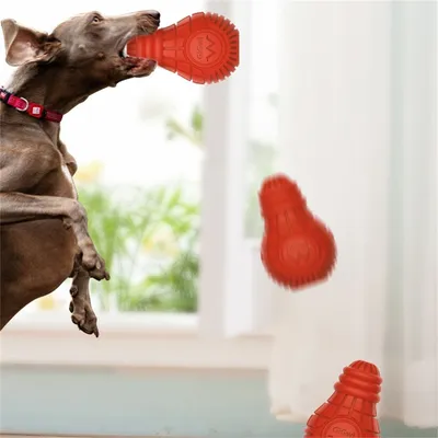 IntiMeg Jouet à mâcher et distributeur de friandises pour chien