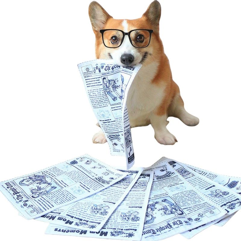 IntiMeg Jouet sonore en papier crépitant pour chiens