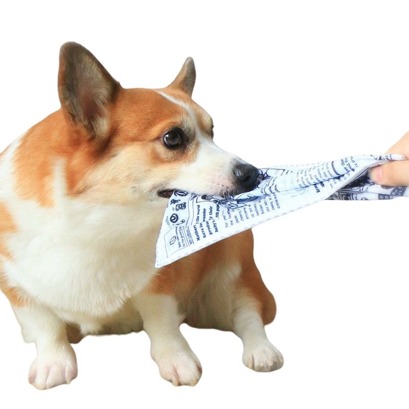 IntiMeg Jouet sonore en papier crépitant pour chiens