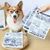 IntiMeg Jouet sonore en papier crépitant pour chiens