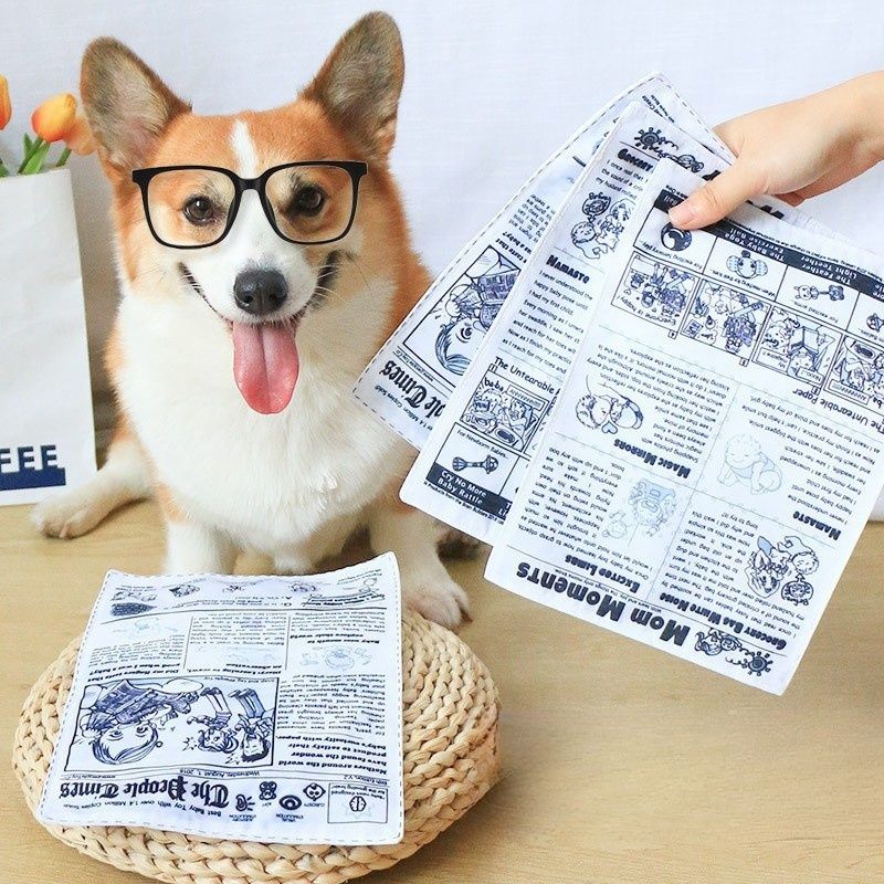 IntiMeg Jouet sonore en papier crépitant pour chiens
