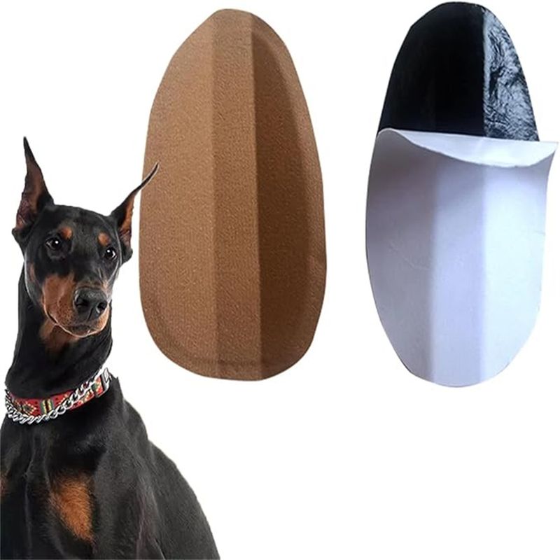 IntiMeg Sticker pour dressage des oreilles de chien