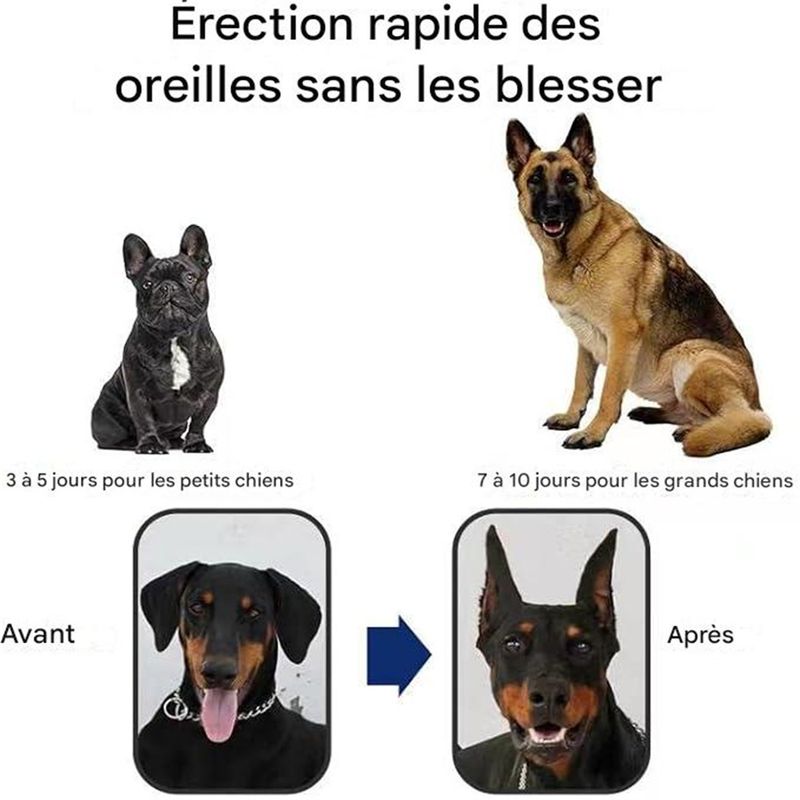 IntiMeg Sticker pour dressage des oreilles de chien