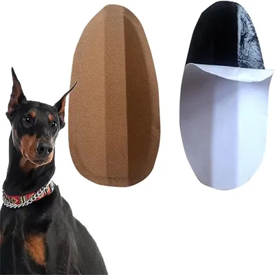 IntiMeg Sticker pour dressage des oreilles de chien