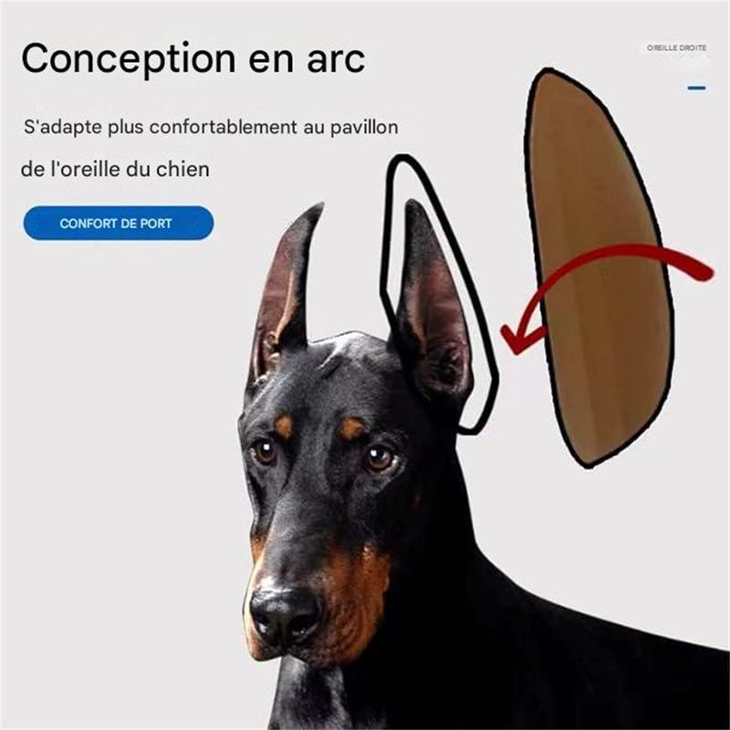 IntiMeg Sticker pour dressage des oreilles de chien