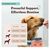 IntiMeg Comprimés à mâcher pour poils de chien