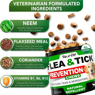 IntiMeg Complément antipuces et antitiques pour animaux de compagnie