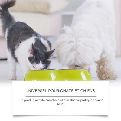 IntiMeg Comprimés de probiotiques pour animaux de compagnie