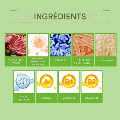 IntiMeg Comprimés de probiotiques pour animaux de compagnie