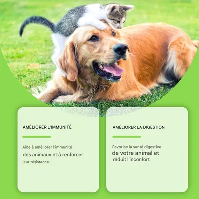 IntiMeg Comprimés de probiotiques pour animaux de compagnie