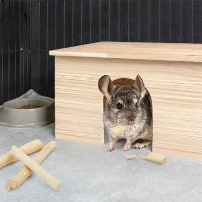 IntiMeg Jouets à mâcher en bambou naturel pour petits animaux