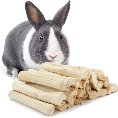 IntiMeg Jouets à mâcher en bambou naturel pour petits animaux