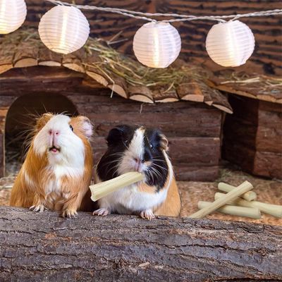 IntiMeg Juguetes masticables de bambú natural para animales pequeños