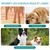 IntiMeg Spray de soins capillaires pour chats et chiens