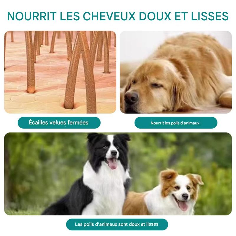 IntiMeg Spray de soins capillaires pour chats et chiens