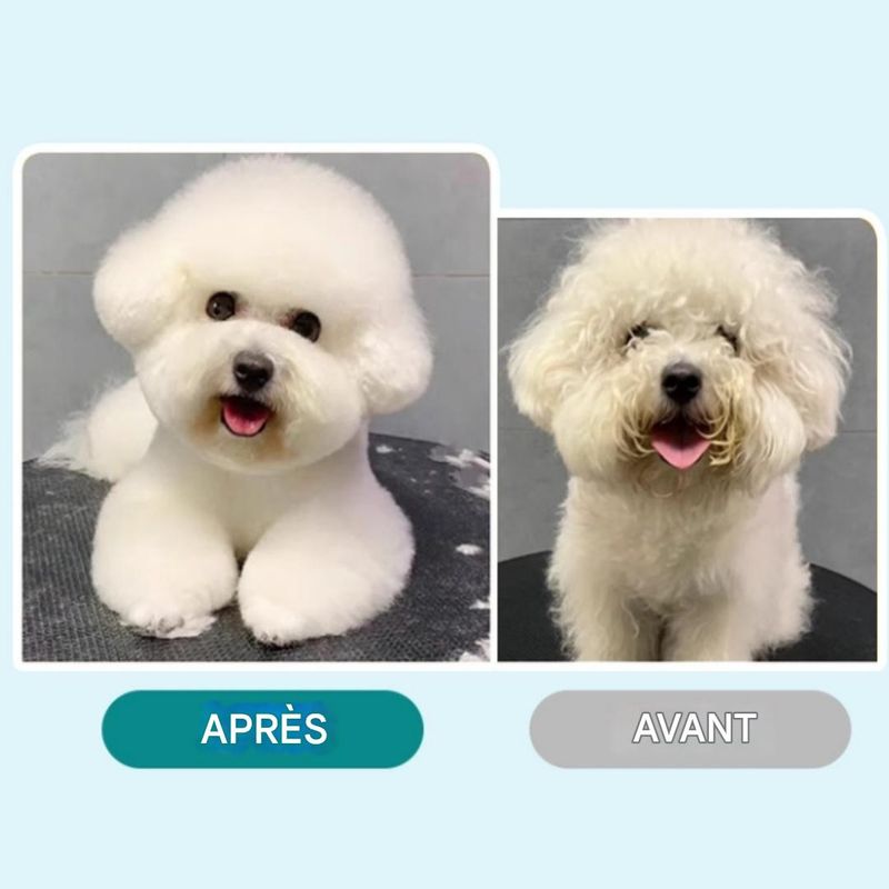 IntiMeg Spray de soins capillaires pour chats et chiens