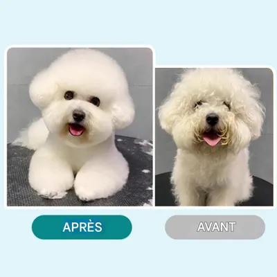 IntiMeg Spray démêlant pour chats et chiens 100ml