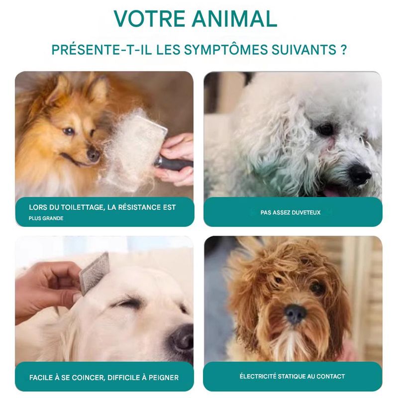 IntiMeg Spray de soins capillaires pour chats et chiens