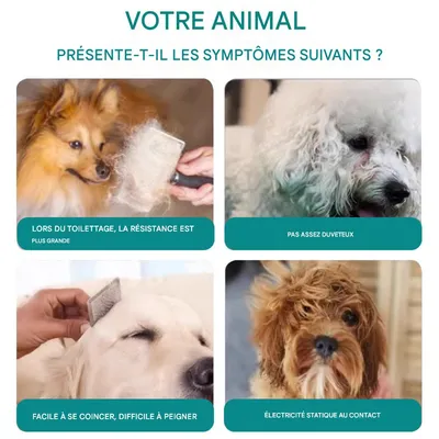 IntiMeg Spray démêlant pour chats et chiens 100ml