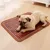 IntiMeg Tapis rafraîchissant pour lit pour chien IntiMeg Tapis rafraîchissant pour lit pour chien