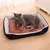 IntiMeg Tapis rafraîchissant pour lit pour chien IntiMeg Tapis rafraîchissant pour lit pour chien