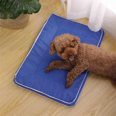 IntiMeg Kühlkissen für Hunde IntiMeg Kühlkissen für Hunde