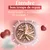 IntiMeg Gamelle anti - glouton pour chat et petit chien