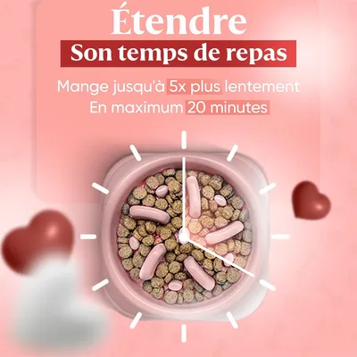 IntiMeg Gamelle anti - glouton pour chat et petit chien