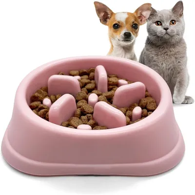 IntiMeg Comedero de alimentación lenta para gatos y perros pequeños