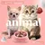 IntiMeg Gamelle anti - glouton pour chat et petit chien