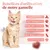 IntiMeg Gamelle anti - glouton pour chat et petit chien