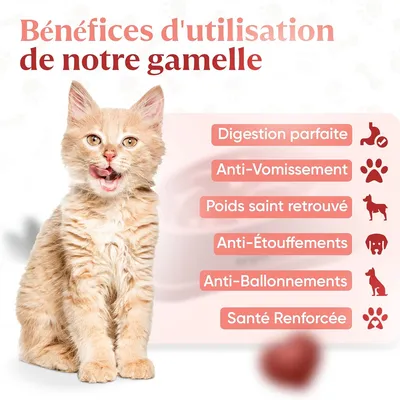 IntiMeg Gamelle anti - glouton pour chat et petit chien
