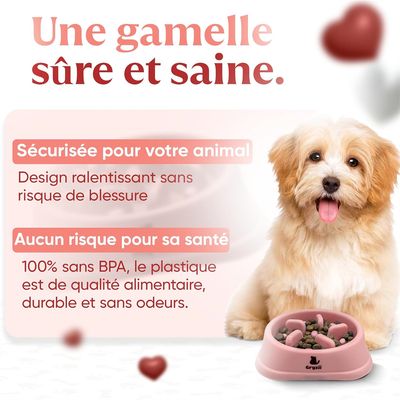 IntiMeg Comedero de alimentación lenta para gatos y perros pequeños