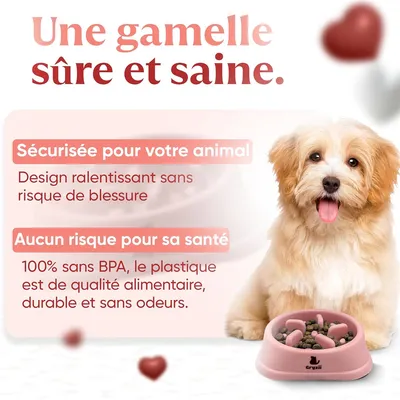 IntiMeg Gamelle anti - glouton pour chat et petit chien