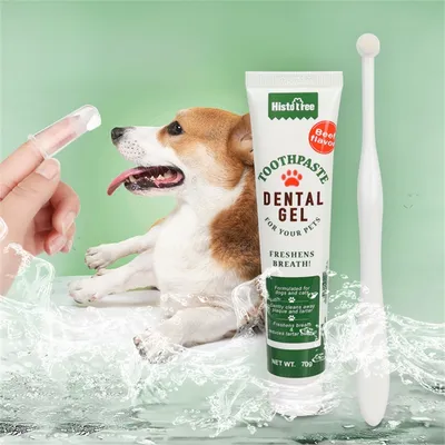 IntiMeg Kit de soins dentaires pour animaux de compagnie