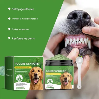 IntiMeg Poudre de soin dentaire pour chien