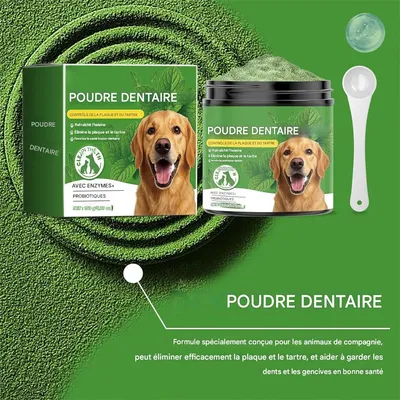 IntiMeg Poudre de soin dentaire pour chien